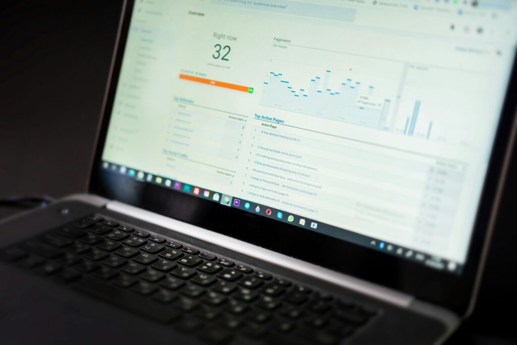 seo software rapid url indexer